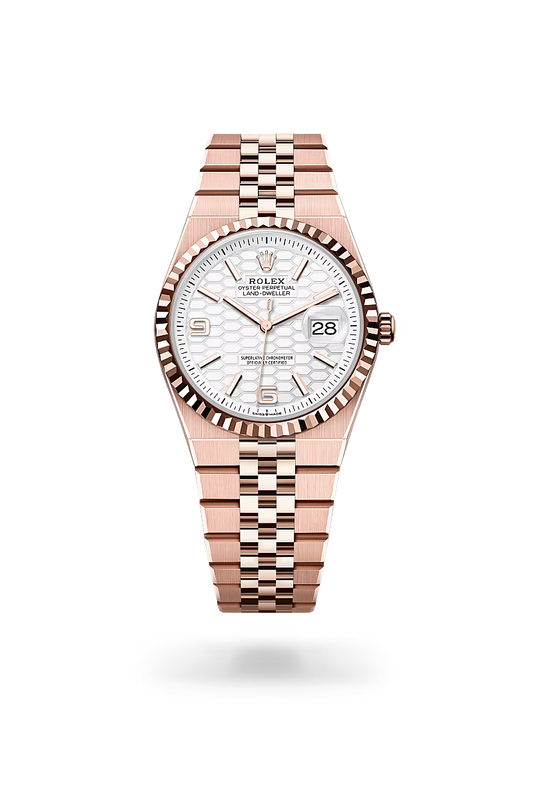 Rolex | Land-Dweller - Free & Fast UAE Shipping